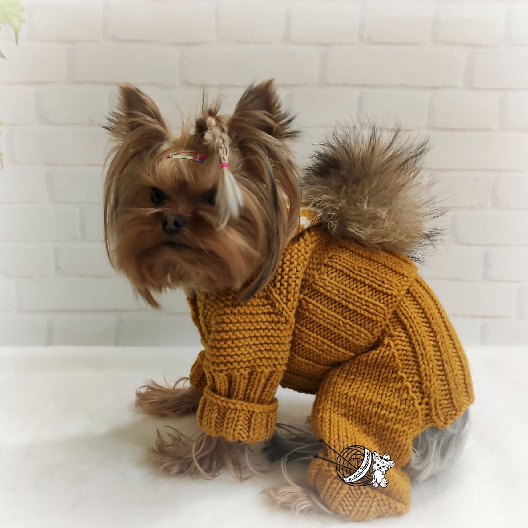 Dog Costume Yorkie Clothes Dog Coat Hand Knit Dog Sweater Etsy