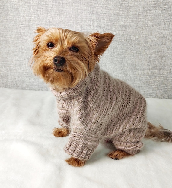 Combinaison en tricot pour petit chien, salopette personnalisée