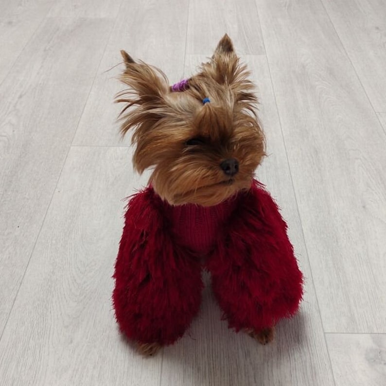 Knitted dog sweater Fluffy burgundy jumper for dogs fur Yorkie clothes Jacket image 2