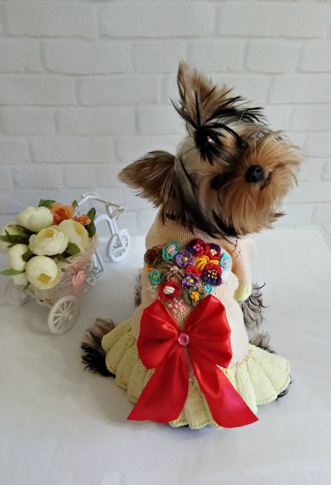 Knitting Pattern Dog Dress Dog Pattern Sewing Pattern PDF Etsy