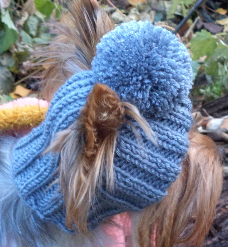 Hat Knitted Dog Pet Hat Hat Warm Dog Hat Winter Dog Hat Puppy Etsy