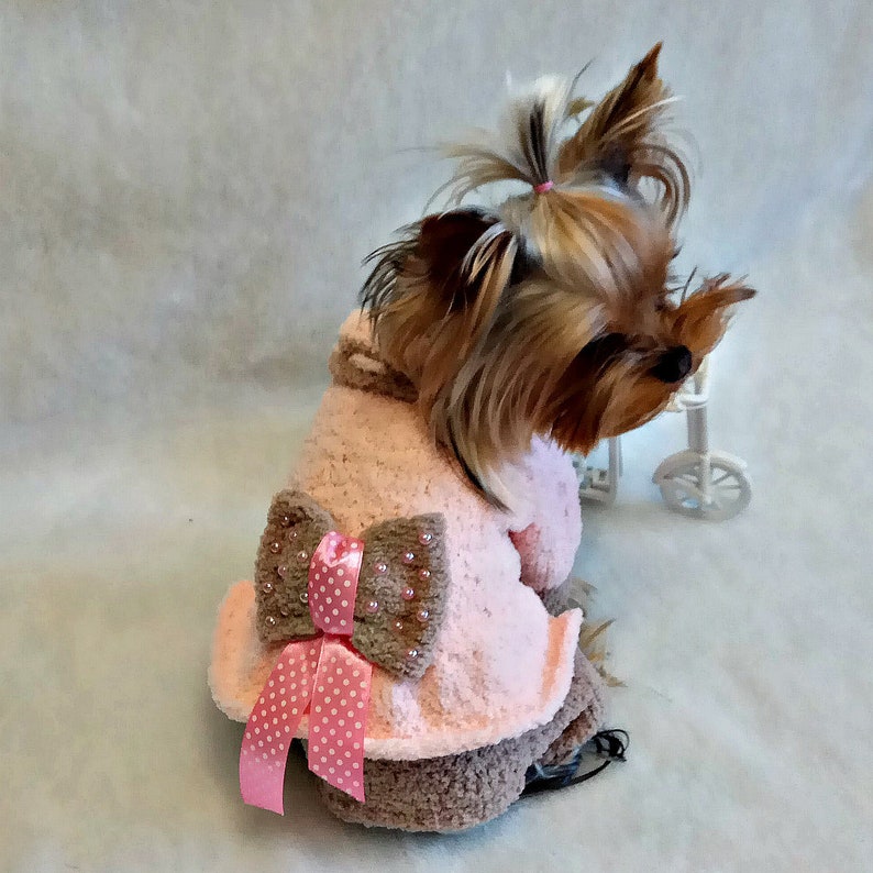 dog sweater straight needles