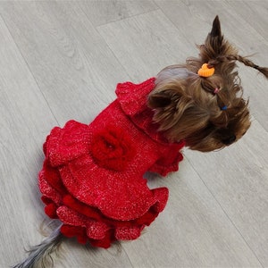 Red ruffle dog dress, Knitted dog sweater, Small dog dress knit