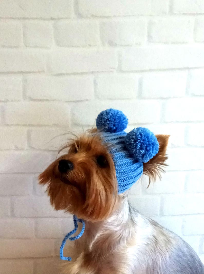 Puppy hat dog hats knit pet hat knit dog hat knitted dog hat Etsy