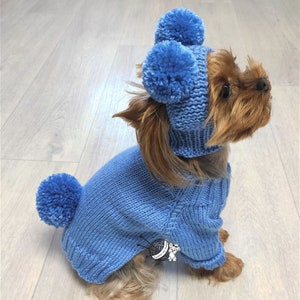 Pompom dog hat, Small pet sweater blue, Custom sweater dogs