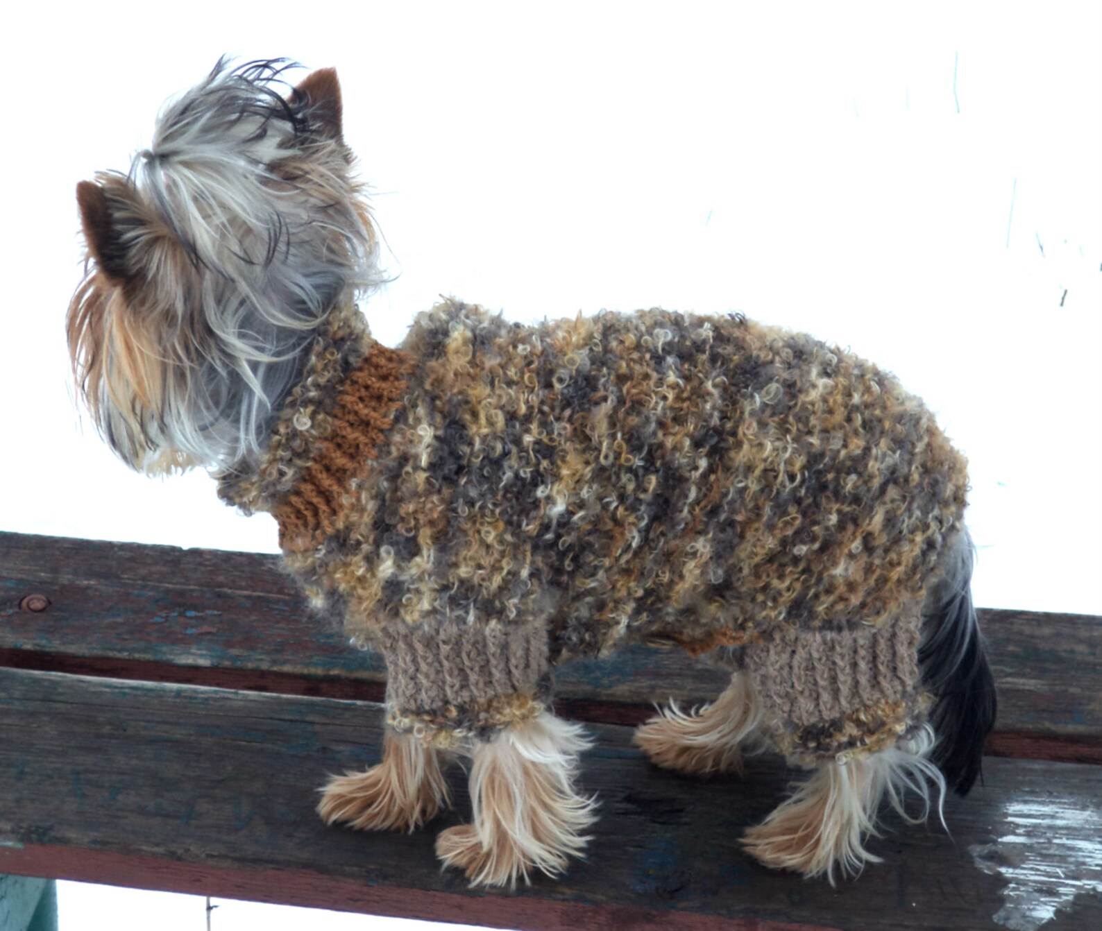 Warm Dog Sweater Custom Dog Jacket Sweatshirt Dog Hoodie Etsy