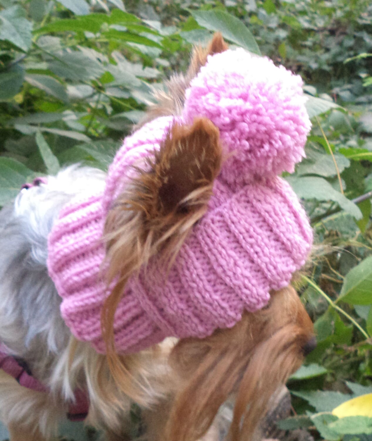 Medium hat dog small dog hat knitted dog hat warm dog hat dog