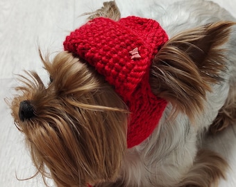 Hat  dogs red, Small dog clothes chihuahua,  Puppy hat knit, Dog hats pet