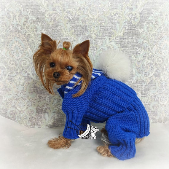 Biewer Terrier Pants Biewer Terrier Pants