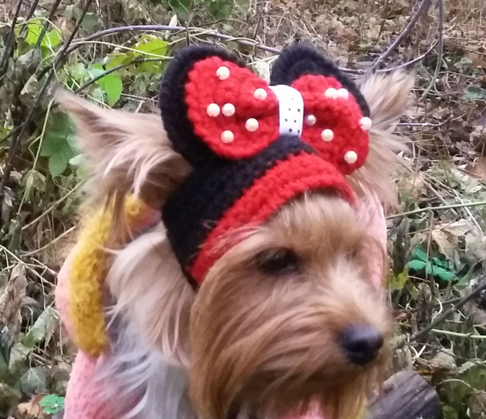 Small Dog hat hats for dogs puppy hat knit dog hats pet hat Etsy