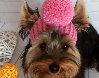 small dog accessories