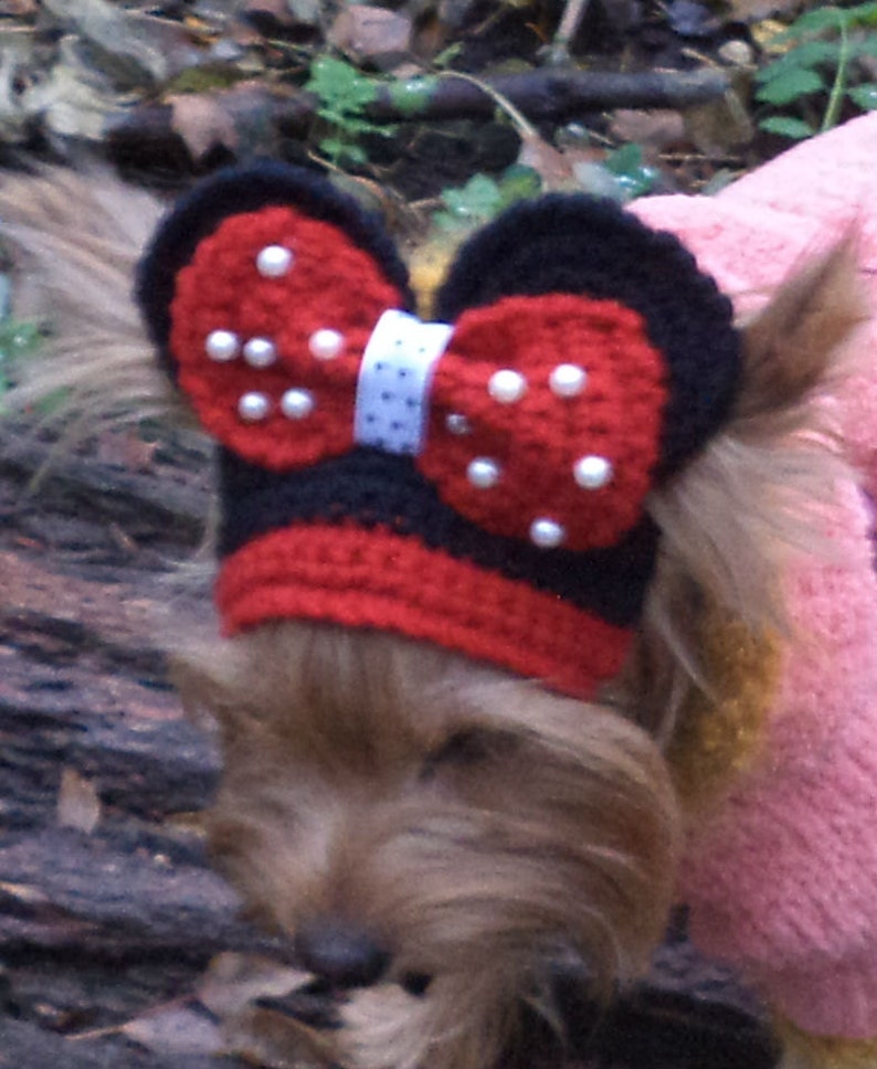 Small Dog hat hats for dogs puppy hat knit dog hats pet hat Etsy