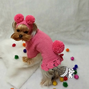 Small pink sweater for dogs, hat for dogs with pom pom
