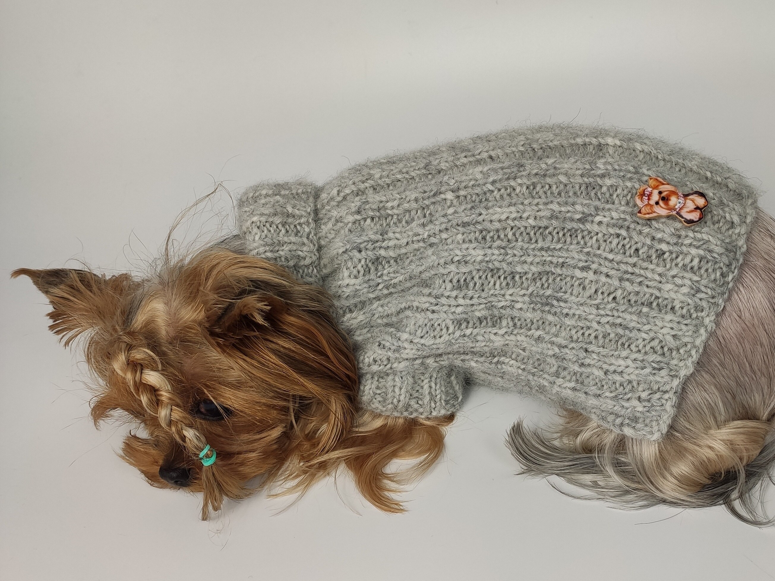 Designer dog sweater dog costume dog clothes designer dog Etsy