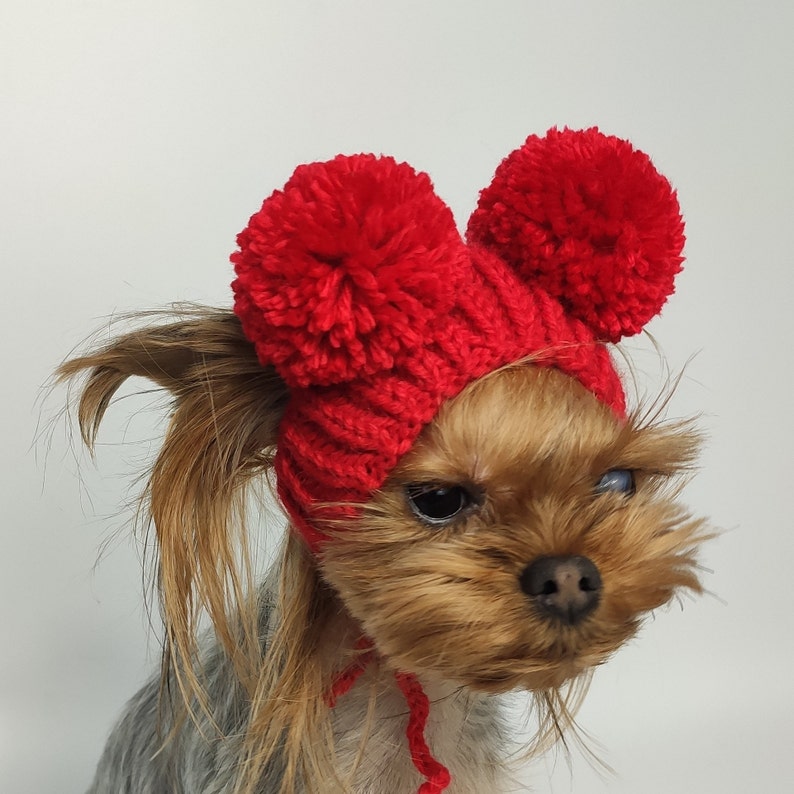 Warm Hat for Dog With Pompom Small Dog Hat Knitted Dog Hat Etsy