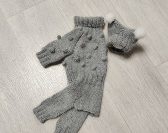 Set: overalls, dog hat, Dog clothes small handmade