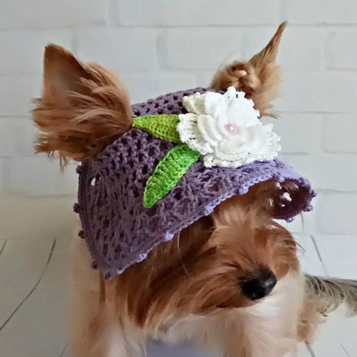 Designer dog clothes hat dog knitted dog hats puppy hat caps Etsy