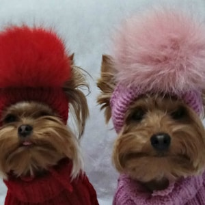 dog pom pom hat, winter knitted hat for dogs, puppy hat, hat caps for dogs, yorkie dog hat