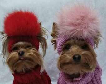dog pom pom hat, winter knitted hat for dogs, puppy hat, hat caps for dogs, yorkie dog hat