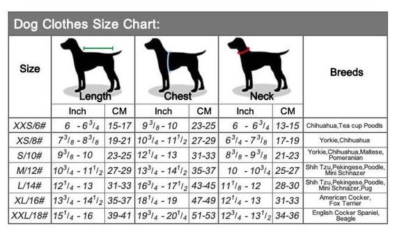 Small Dog Breed Size Chart