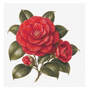 Può includere: Un motivo a punto croce raffigurante un fiore di camelia rosso brillante in piena fioritura, un bocciolo più piccolo parzialmente aperto e un bocciolo chiuso, circondati da foglie verde scuro con venature visibili su sfondo bianco.