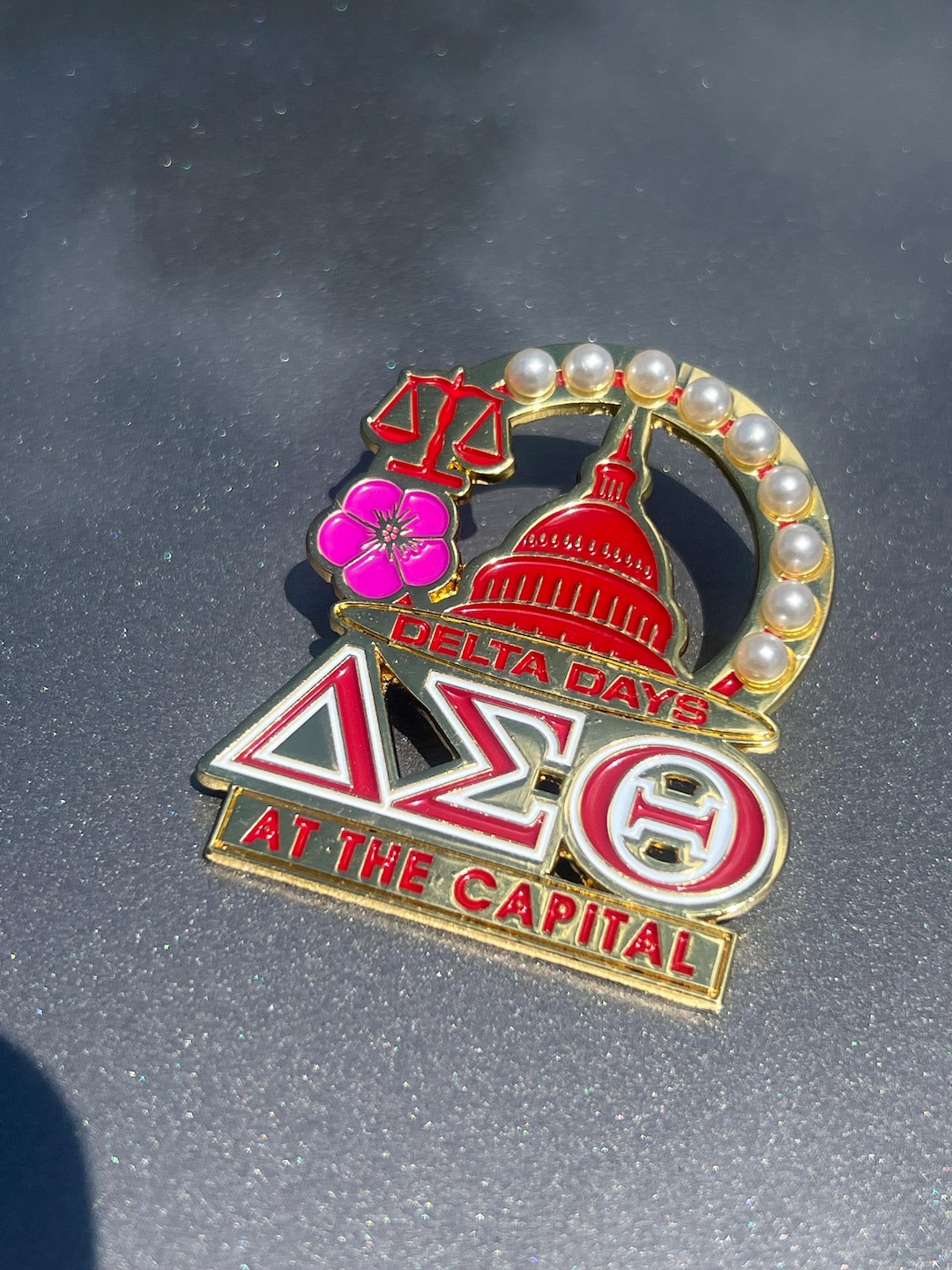 Delta Day at the Capital , Pin, Brooch, Social Action - Etsy