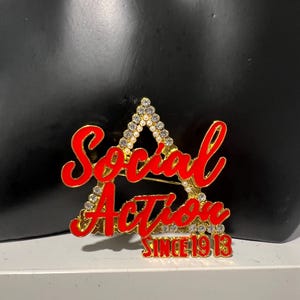 Social Action Since 1913 Pin, Brooch, Delta Sigma Theta, DST