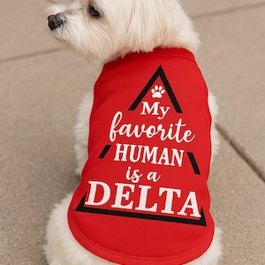 May include: A small white dog wearing a red dog shirt. The shirt has the text "My favourite HUMAN is a DELTA" in white and black lettering. The dog is sitting on a grey surface.
