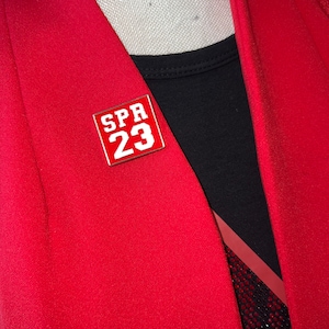 Spring 23 Delta Sigma Theta Pin, crossing gift. DST