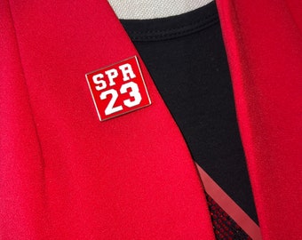 Spring 23 Delta Sigma Theta Pin, crossing gift. DST