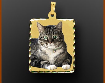 May include: Gold pendant with a photo of a tabby cat with green eyes. The pendant has a scalloped edge.