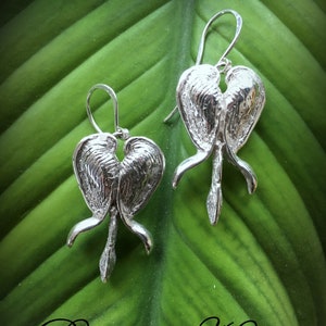 May include: Silver earrings shaped like bleeding heart flowers. The earrings are on a green leaf background. The text "Bleeding Hearts" is written below the earrings.