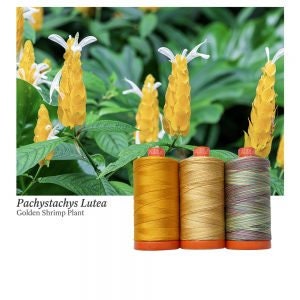 Aurifil Set Color Builders Golden Shrimp Plant 50 WT