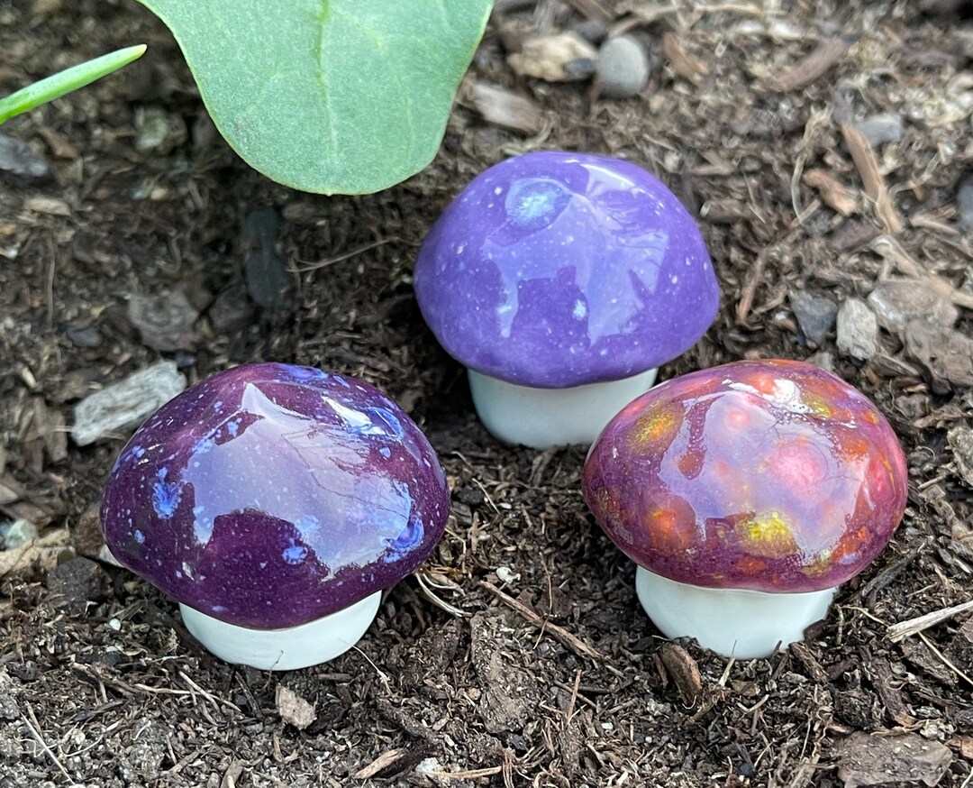 Fungibles ファンジブルズ il_1080xN.2360388730_toq0.jpg