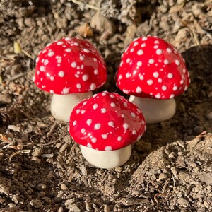 Fairy mushrooms -Small fabulous fungi. Three hand crafted ceramic toadstools by Fabulousfungi - T577