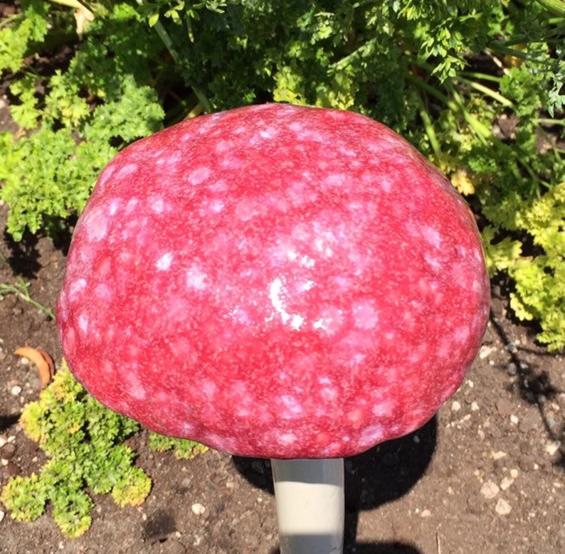 Jumbo Ceramic Mushroom by Fabulousfungi Fabulous Fungi J Etsy