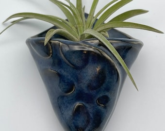 Wall vase perfect for air plants, handmade by FabulousFungi Air plant wall vase, wall sconce 10