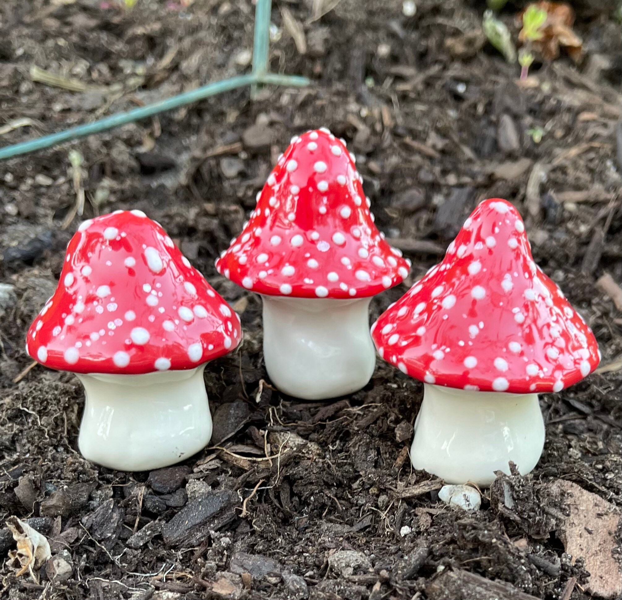Fairy Mushrooms -small Fabulous Fungi. Three Hand Crafted