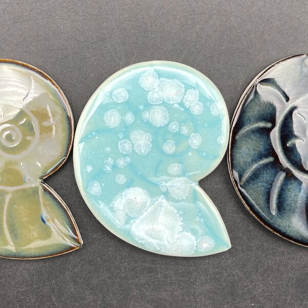 Sea Shell Tiles - Etsy