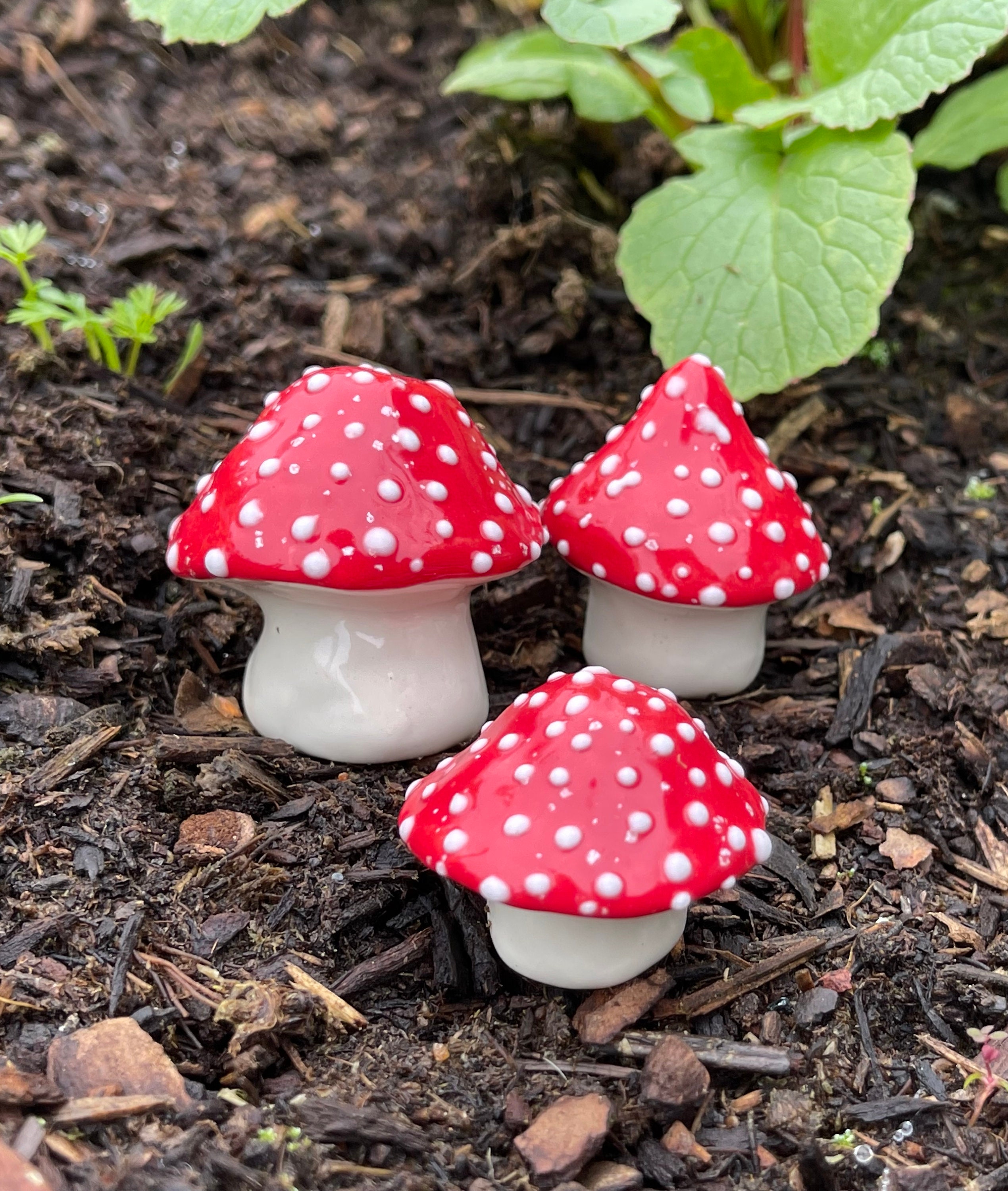 Fairy Mushrooms -small Fabulous Fungi. Three Hand Crafted