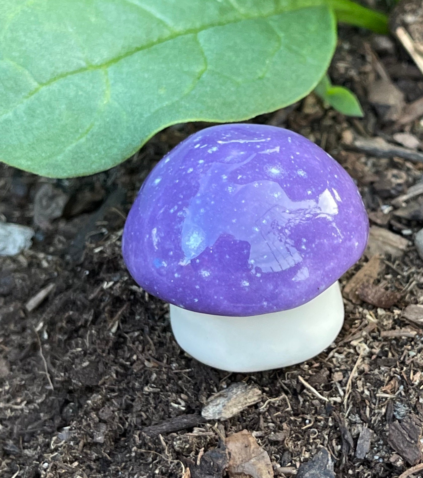 Fungibles ファンジブルズ il_1080xN.2360388730_toq0.jpg