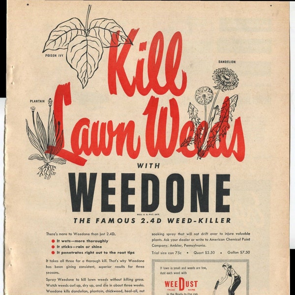 WeeDust Kill Lawn Weeds With WeedOne The Famous 2.4D Weed-Killer 1947 Vintage Antique Advertisement