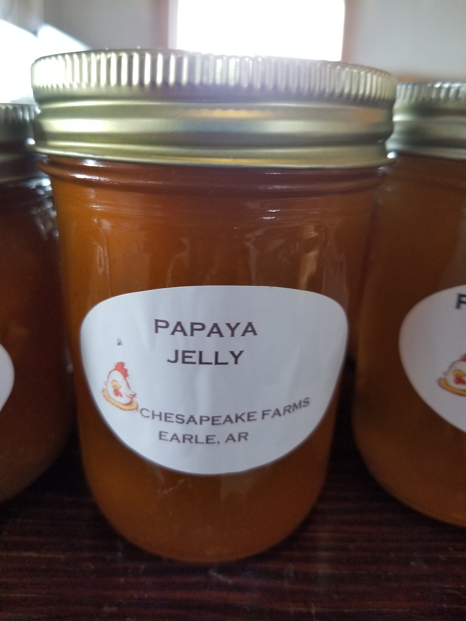 Papaya Jelly 8 Oz Size Arkansas Grown and Made Organic Great Etsy