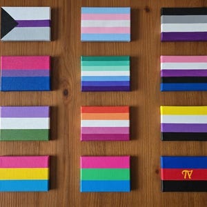 May include: Twelve rectangular canvas panels arranged in a grid, each painted with a different pride flag design. The flags feature various horizontal colour stripes, including pink, blue, purple, green, yellow, orange, white, grey, and black.