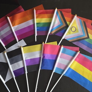 May include: A collection of ten small handheld flags on white plastic poles with gold-colored finials. The flags feature various pride designs including the lesbian, rainbow, progress, intersex, demisexual, asexual, non-binary, bisexual, transgender, and pansexual flags.