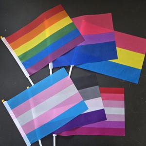 Puede incluir: Una colección de pequeñas banderas con varios diseños de banderas del orgullo LGBTQ+. Las banderas presentan colores vibrantes, incluyendo arcoíris, rosa, azul, amarillo y morado, montadas en palos blancos. Las banderas están dispuestas sobre una superficie oscura.