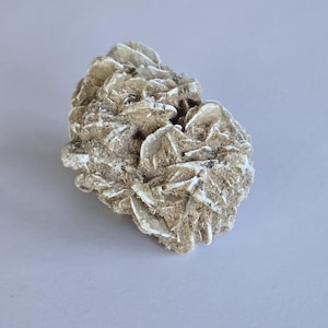 Puede incluir: Una formación cristalina de rosa del desierto. La piedra presenta un grupo de cristales de yeso planos, con forma de pétalos, en tonos beige y marrón. Los cristales irradian hacia afuera desde un punto central.