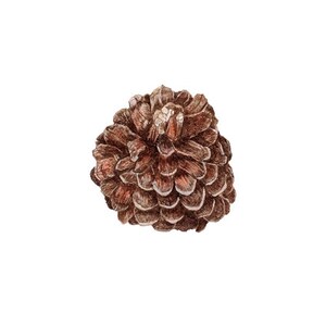 Pomme de pin à l’encre numérique, dessin image pour un usage personnel ou travail de correspondance