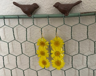 Real Daisy Flower Dangle Earrings: 14K Gold Filled Resin Jewelry