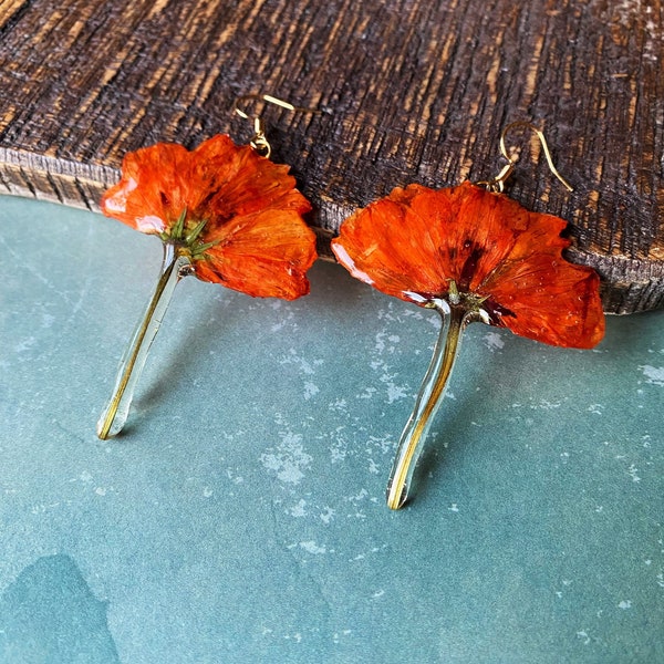 pressed orange poppy earrings,Dried flower handmade resin earrings,botanical earrings, special gifts for her